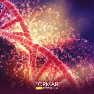 Formación completa sobre las hormonas